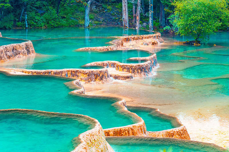 Turquoise alpine lakes and forests of Jiuzhaigou National Park