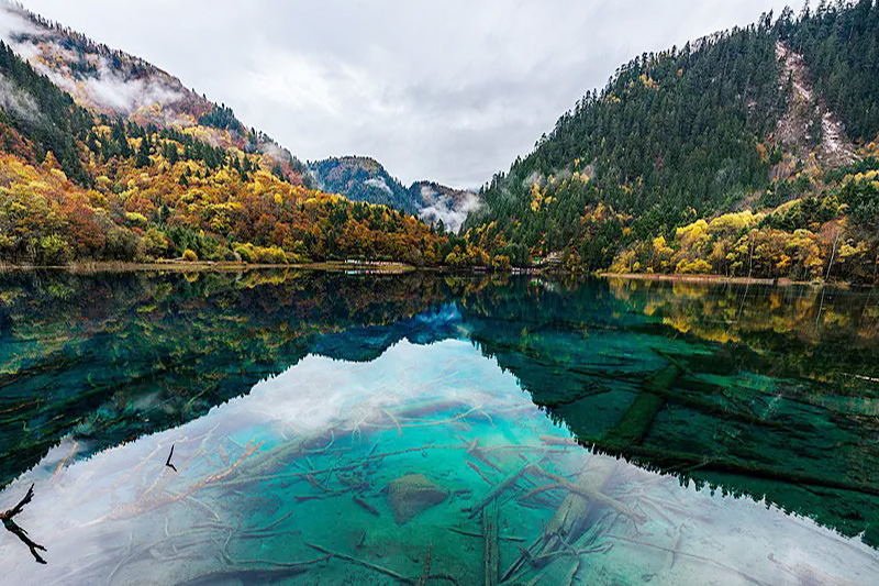 Turquoise alpine lakes and forests of Jiuzhaigou National Park