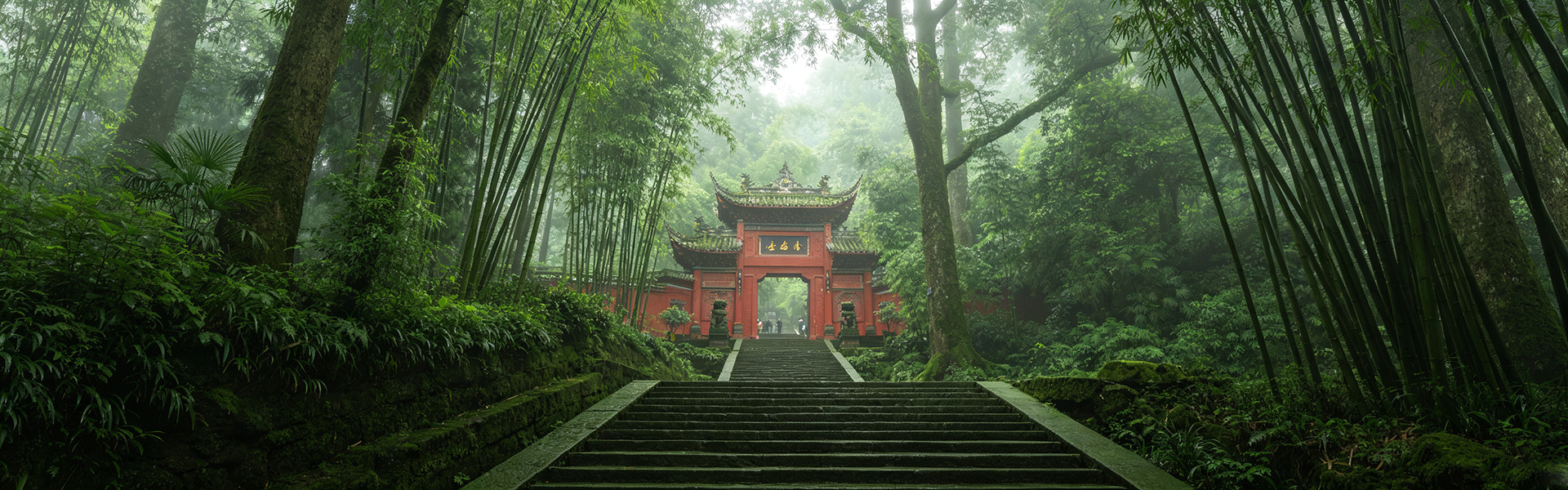 4 Days Chengdu, Dujiangyan, Qingchengshan & Panda Tour